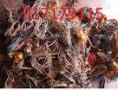 /album/galeria-de-fotos%3a-servi%c3%a7os/cobre-misto-jpg1/